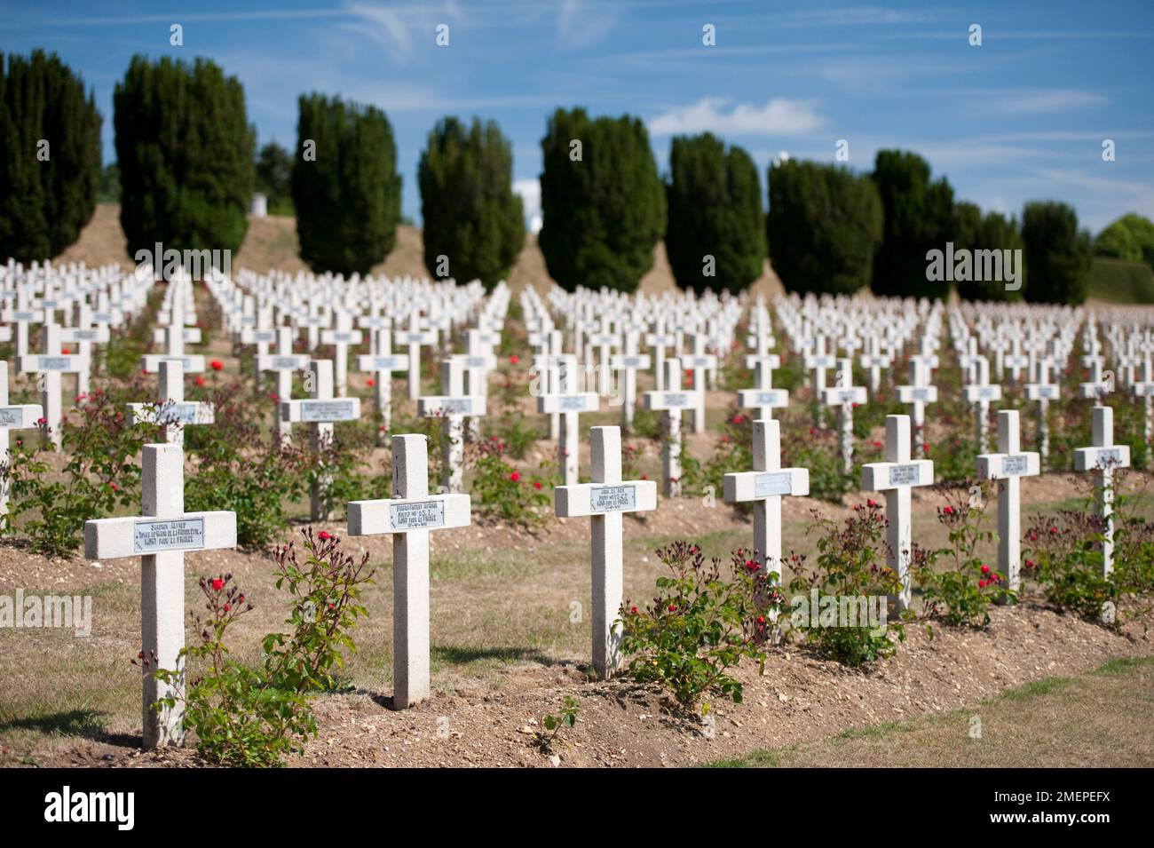 Frankreich, Lothringen, Maas, Verdun, Douaumont-Ossarium (L'ossuaire de Douaumont), Kreuzreihen auf dem Kriegsfriedhof Stockfoto