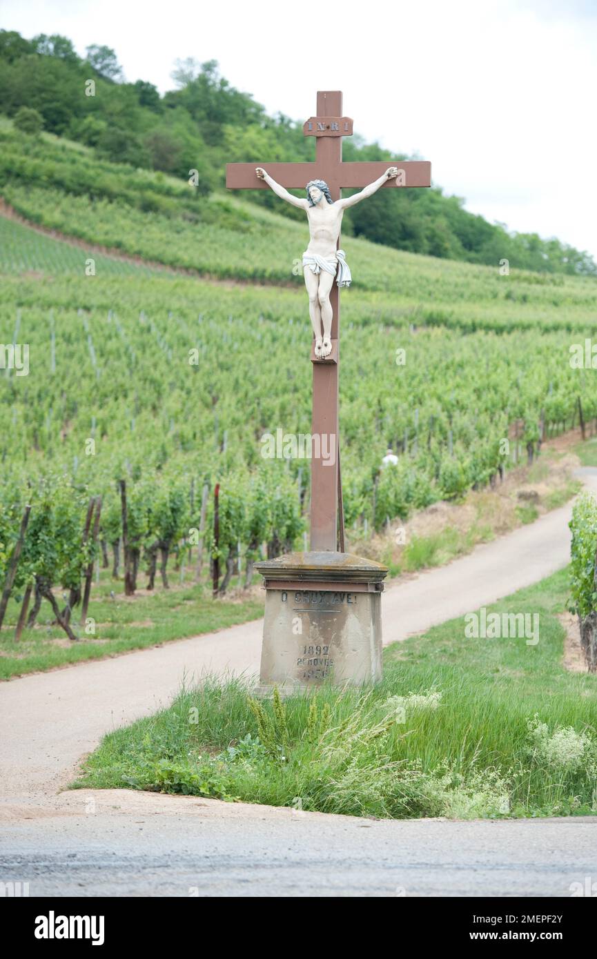 Frankreich, Elsass, Route des Vins d'Alsace, Weinstraße, Jesus gekreuzigt im Weinberg Stockfoto
