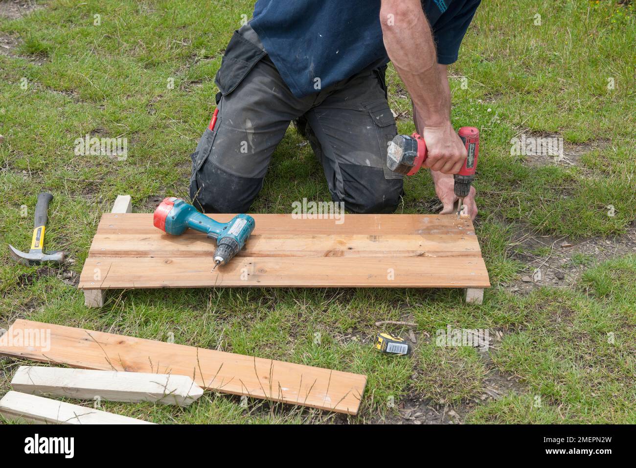 Mann, der mit einem Bohrer Holzbohlen an Holzpfosten befestigt, um einen kalten Rahmen zu bauen Stockfoto