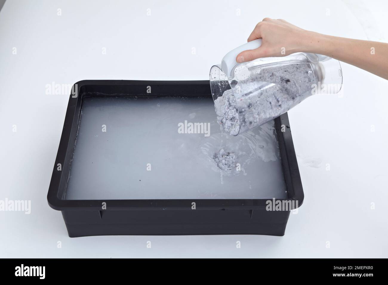 Entleeren der getränkten Papierpaste in eine tiefe Schale mit kaltem Wasser zur Herstellung von Papierhalbstoff, Nahaufnahme Stockfoto