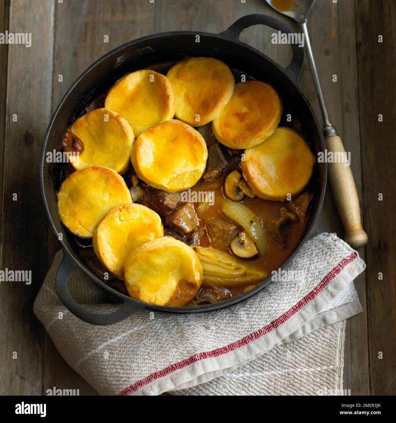 Rindfleisch, Fenchel und Pilz Schuster in gusseisernen Pfanne, mit Löffel Stockfoto