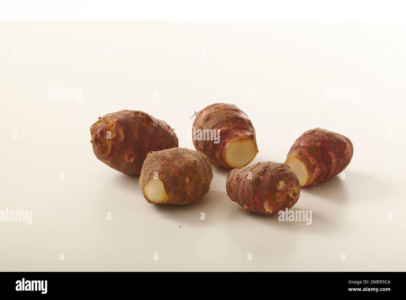 Topinambur Stockfoto