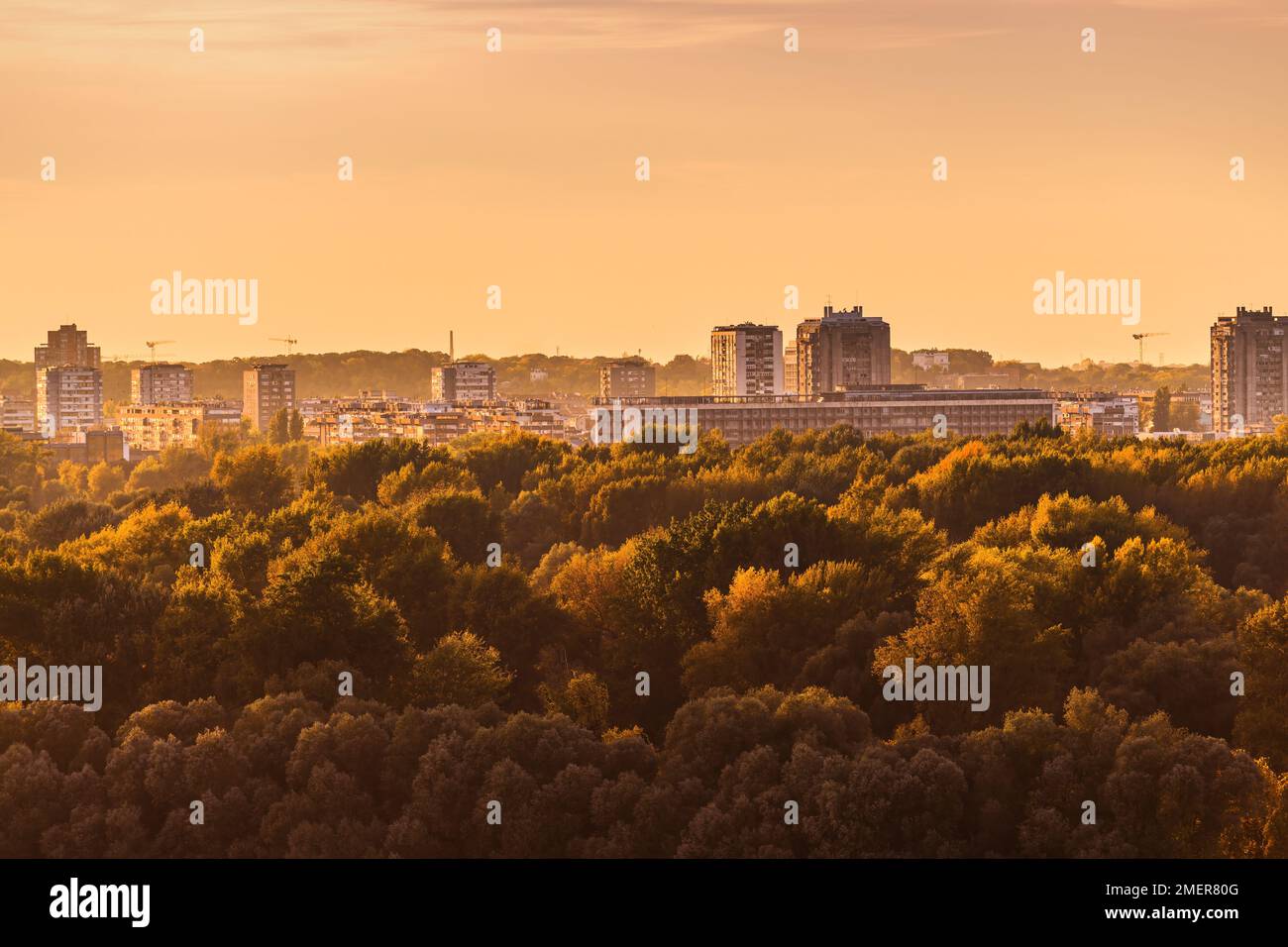 Die Skyline von Belgrad über dem Great war Island Wald bei Sonnenuntergang Stockfoto