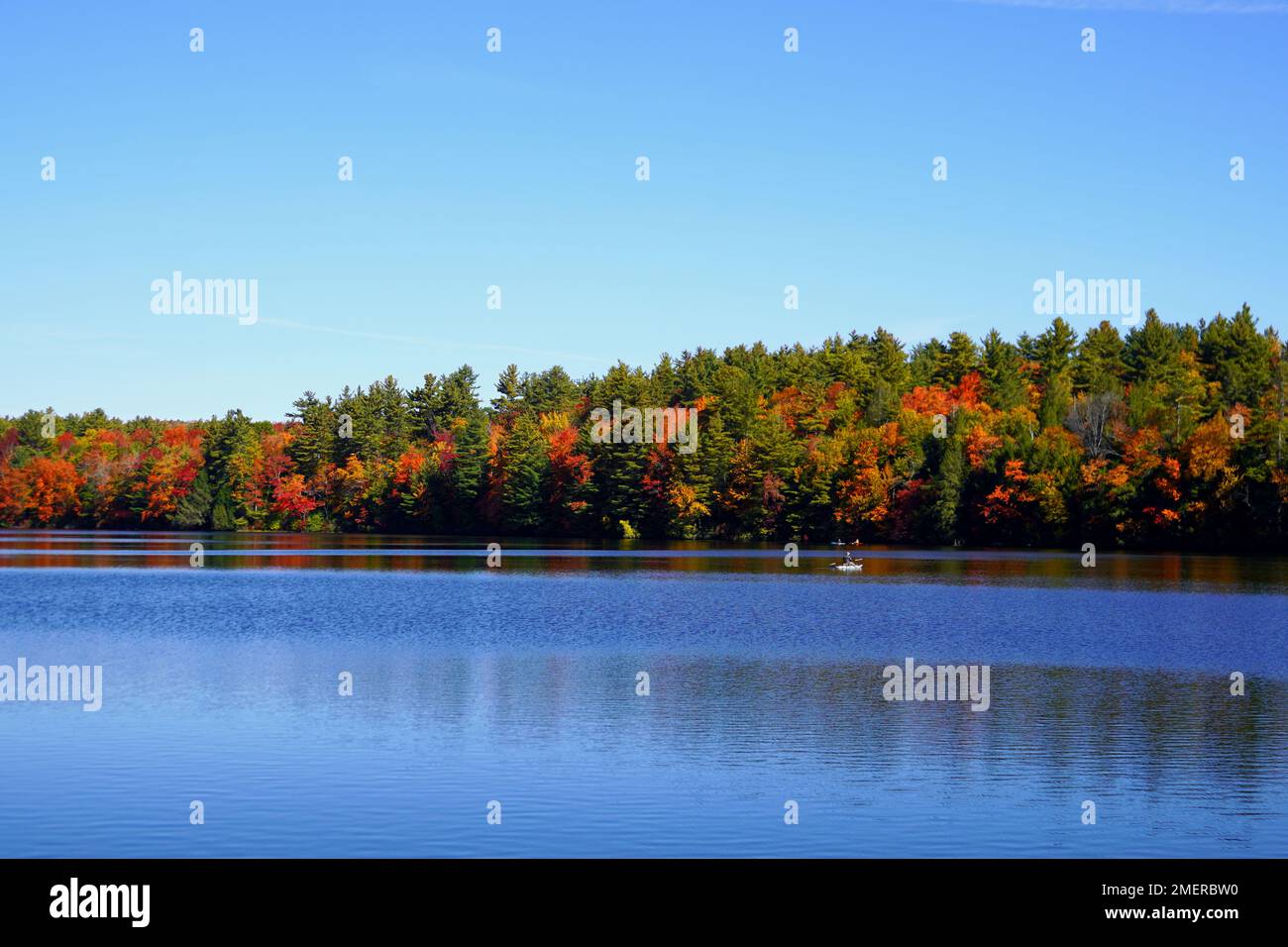 Herbstfarben spiegeln sich an einem Massachusetts Lake wider Stockfoto
