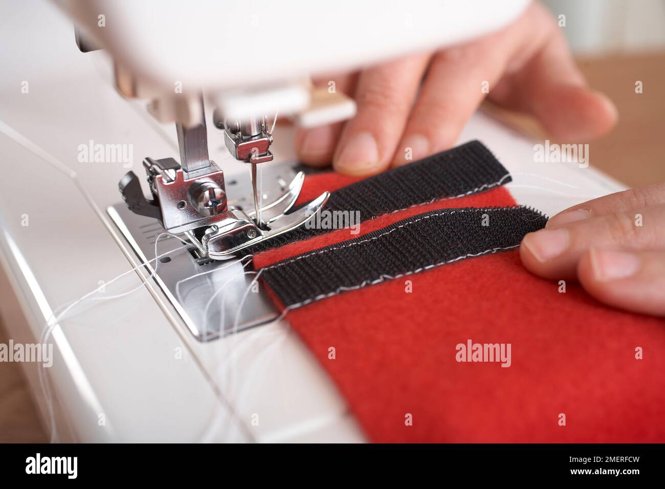 Befestigen Sie den Klettverschluss am Futter und am gesteppten Obermaterial der Hundejacke, um den Klettverschluss zu befestigen Stockfoto