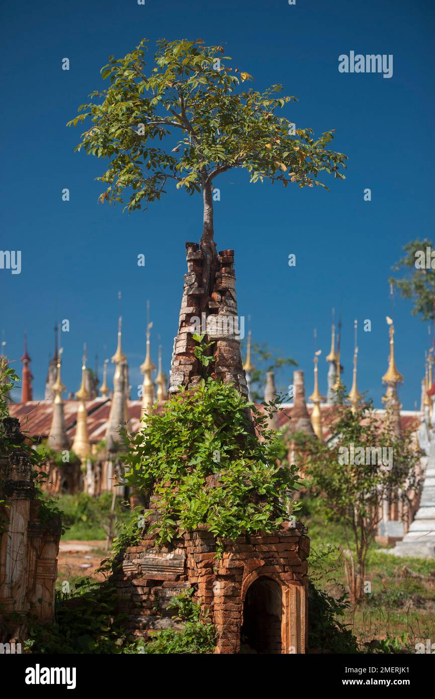 Myanmarm Ost-Birma, Inle-See, Inthein, Shwe Inthein Paya Stupa-Komplex Stockfoto