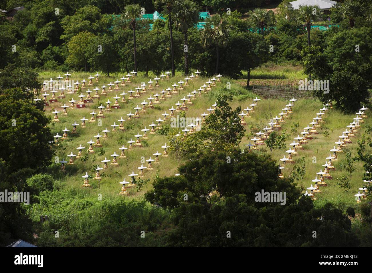 Myanmar, Sagaing, Monywa, Bodhi Tataung, Reihen von Buddhas im Garten Stockfoto