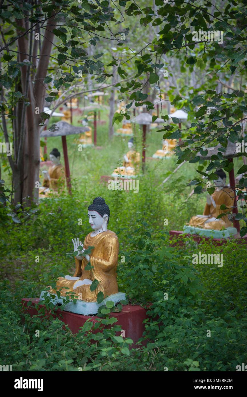 Myanmar, um Mandalay, Monywa, Bodhi Tataung, Buddhas im Garten Stockfoto