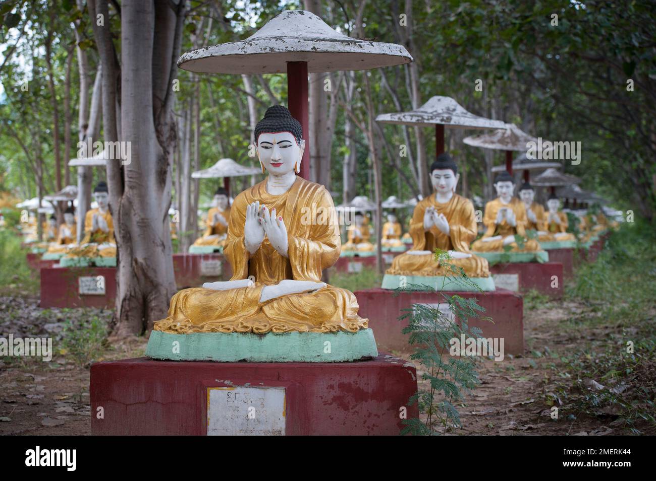 Myanmar, um Mandalay, Monywaa Bodhi Tataung, Buddhas im Garten Stockfoto