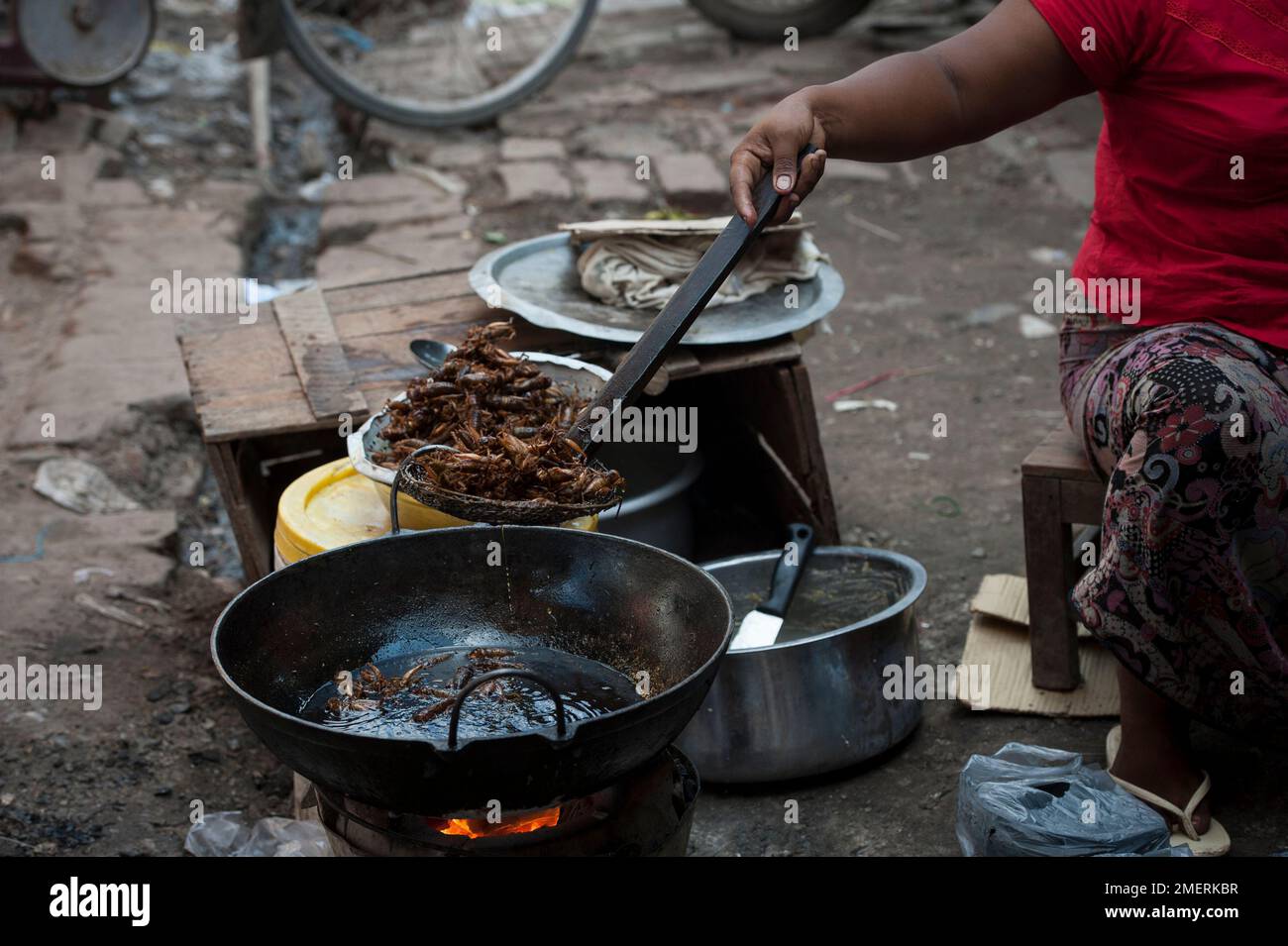 Myanmar, Mandalay Region, Mandalay, Zegyo Markt, Street Food - Grillen Stockfoto