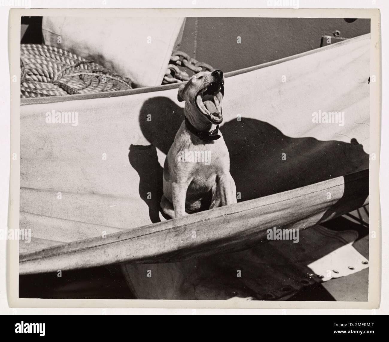 Ein entspannter Moment auf einem Schiff der Küstenwache, während ein „goldbricker“ namens Hobo langsam aus dem Bett steigt und über das Frühstück nachdenkt. Seine entspannte Haltung spiegelt die leichte Kameradschaft und das gute Essen an Bord des Schiffes wider, eine Erinnerung an die leichtere Seite des Militärlebens. Stockfoto