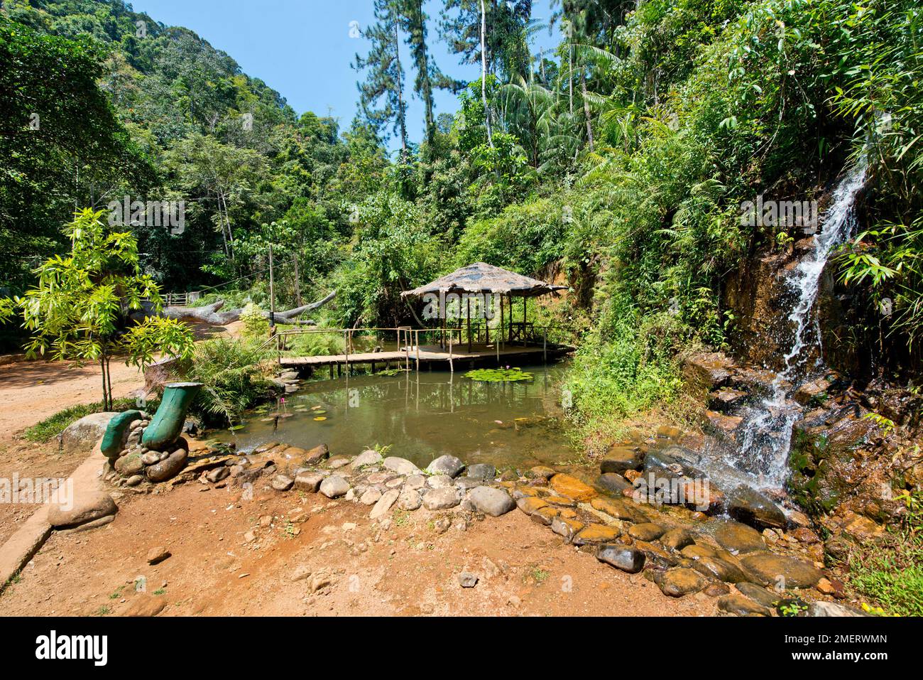 Provinz Sabaragamuwa, Ratnapura, Waldreservat Sinharaja, Sri Lanka Stockfoto