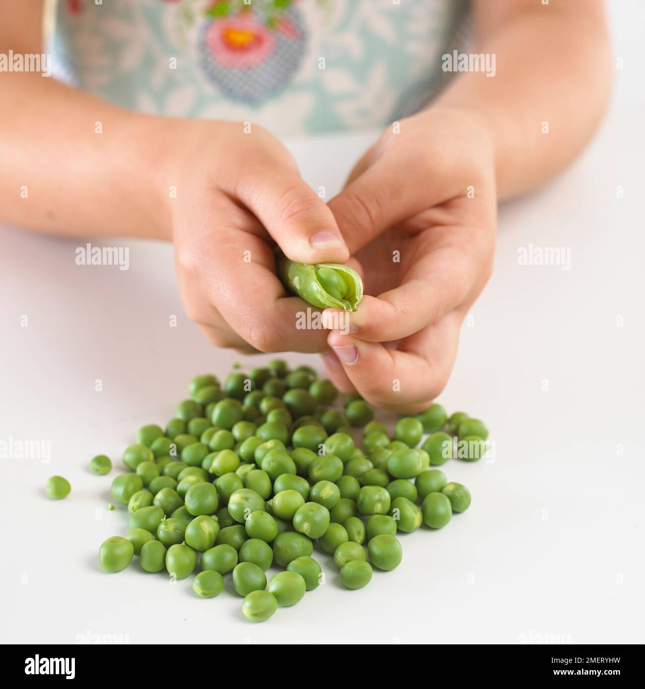 Mädchen Erbsen drücken aus einem Pod Stockfoto