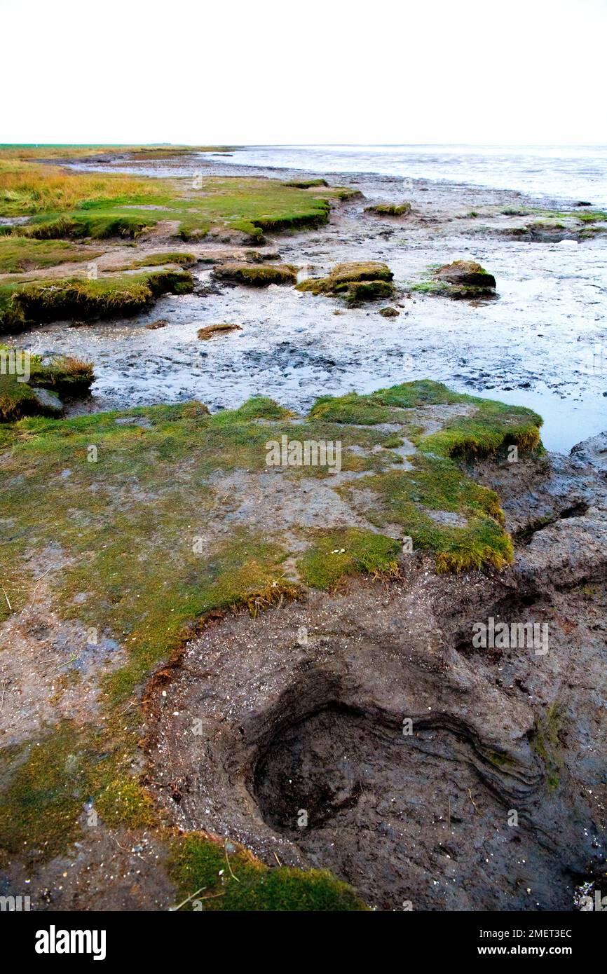 Natürlicher Strand mit direktem Übergang in das Wattenmeer, Nordsee im Übergang vom Klimawandel, Abbruchkante, Landverlust, Hilgenriedersiel Stockfoto