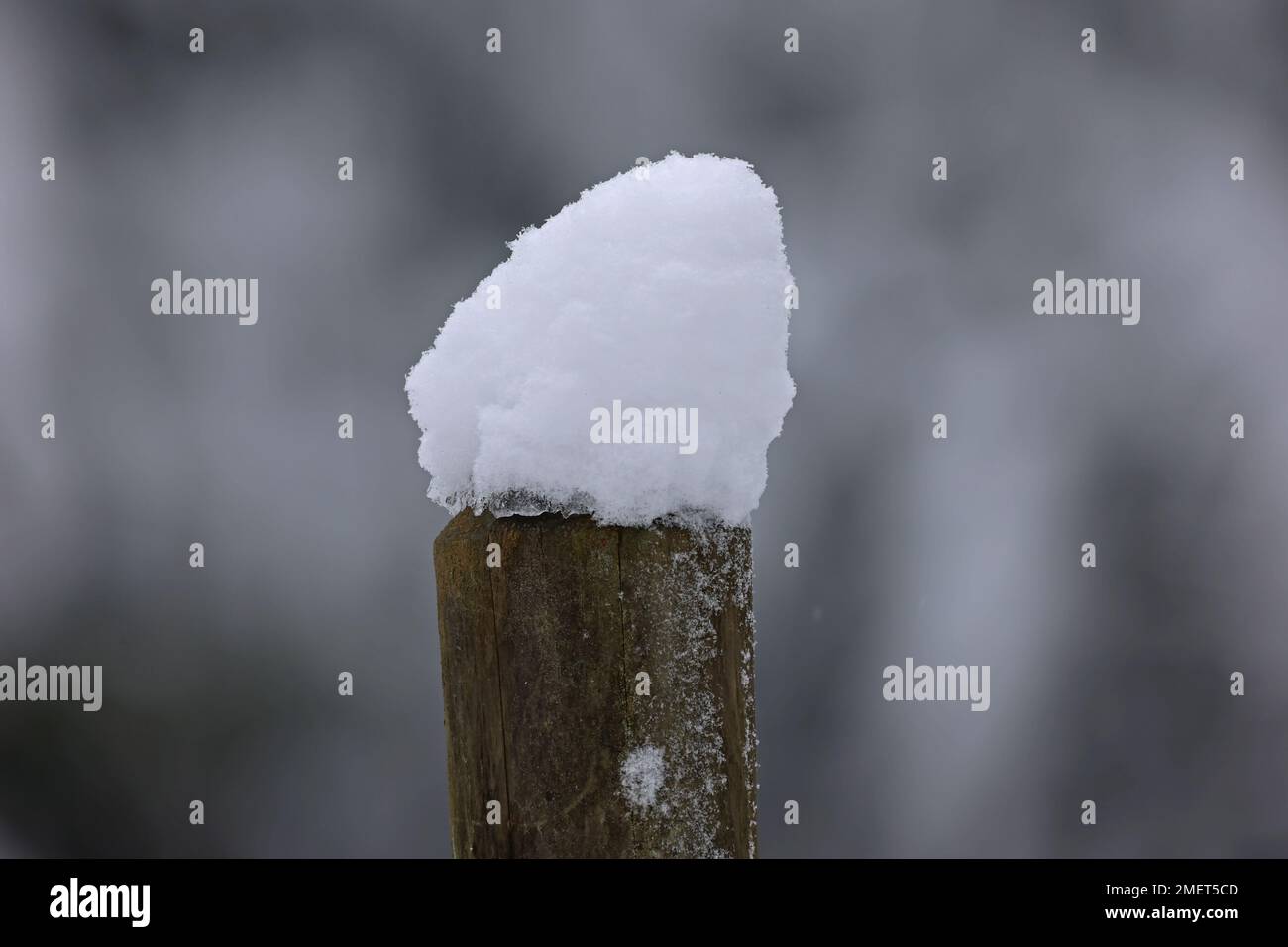 Schneekappen auf Zaunpfählen im Winter Stockfoto