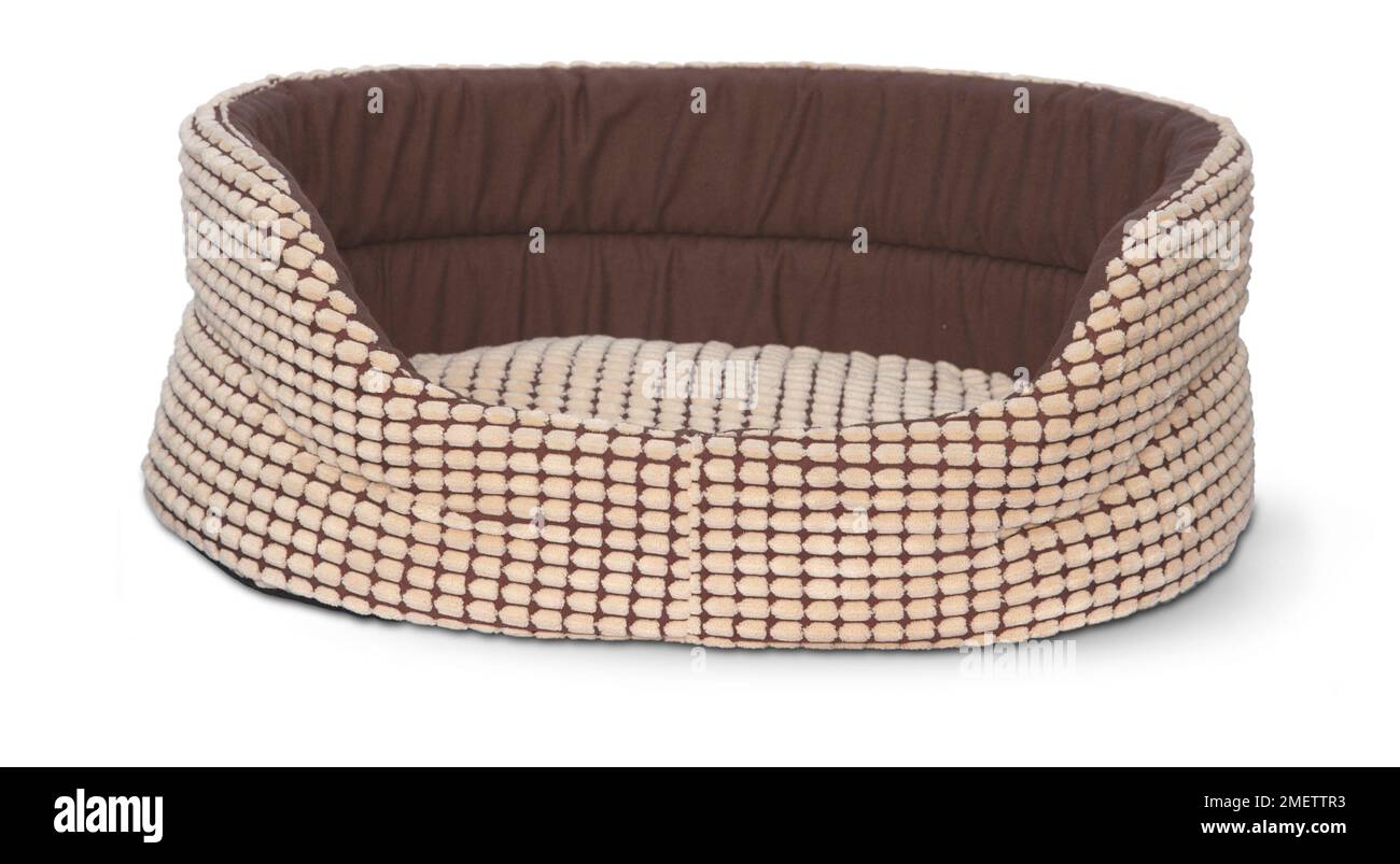 Katzenbett im Korbstil Stockfoto