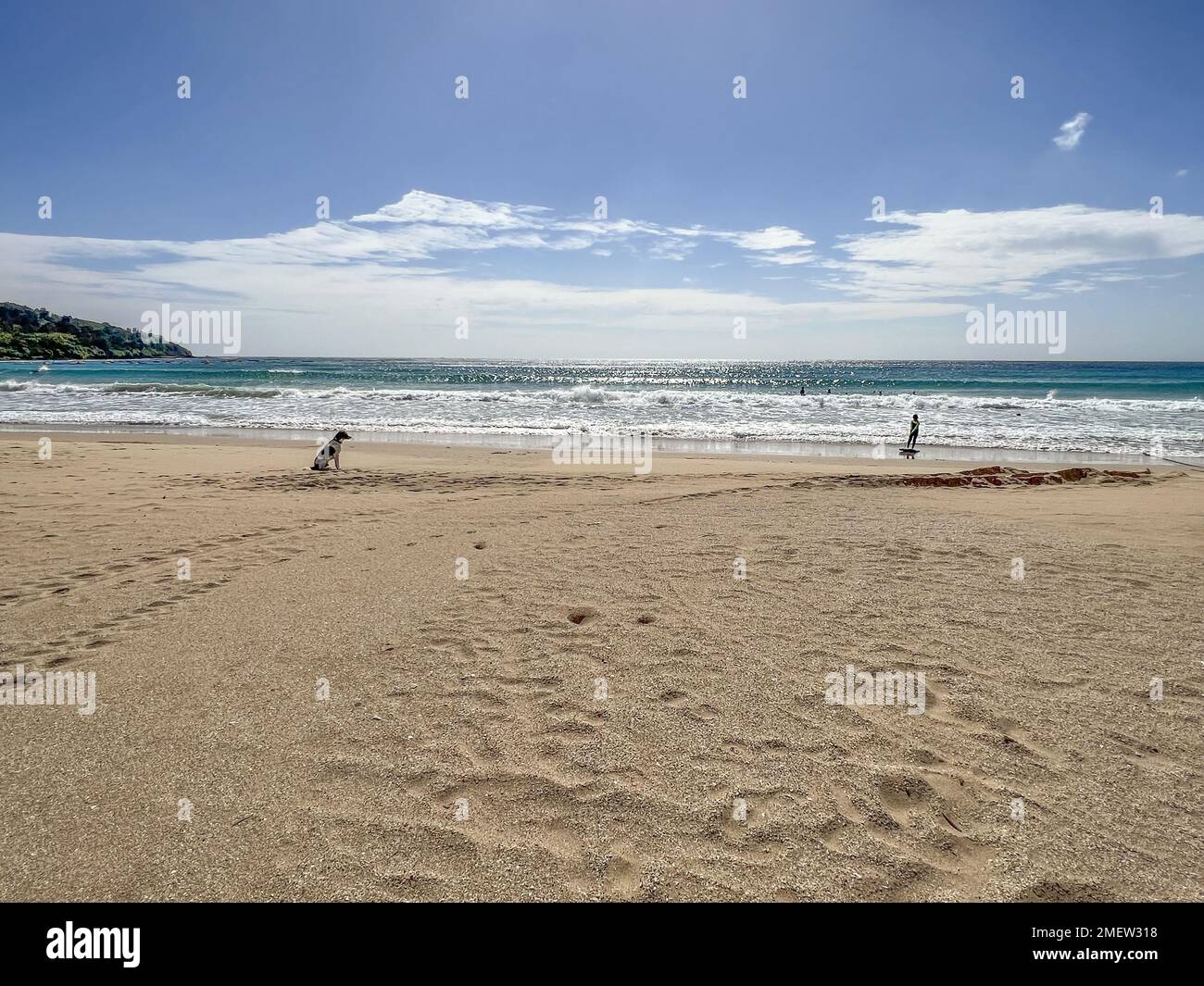 Ein Mensch, ein Hund, an einem großen Strand im taiwanesischen Kenting-Nationalpark, 12. Januar 2023. Kenting hat seine Festlandtouristen verloren. SCMP/Ralph Jennings Stockfoto