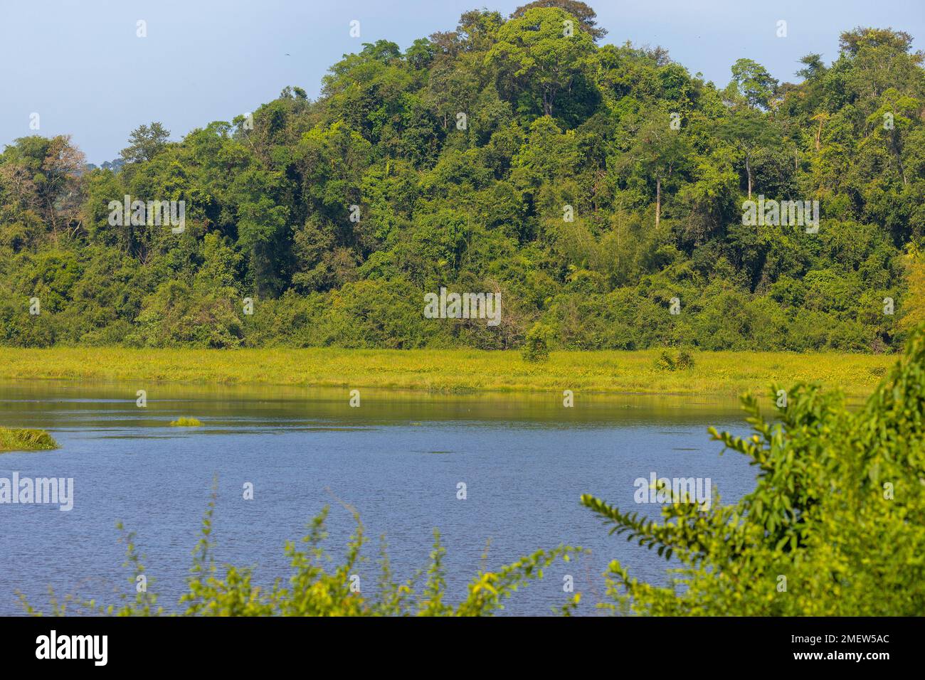 Bau Sau (Krokodilsee), Nam Cat Tien Nationalpark, Vietnam Stockfoto