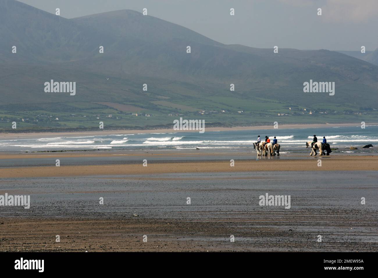 Reiten am Strand in wunderschöner Strandlage auf dem Wild Atlantic Way. County Kerry, Irland Stockfoto