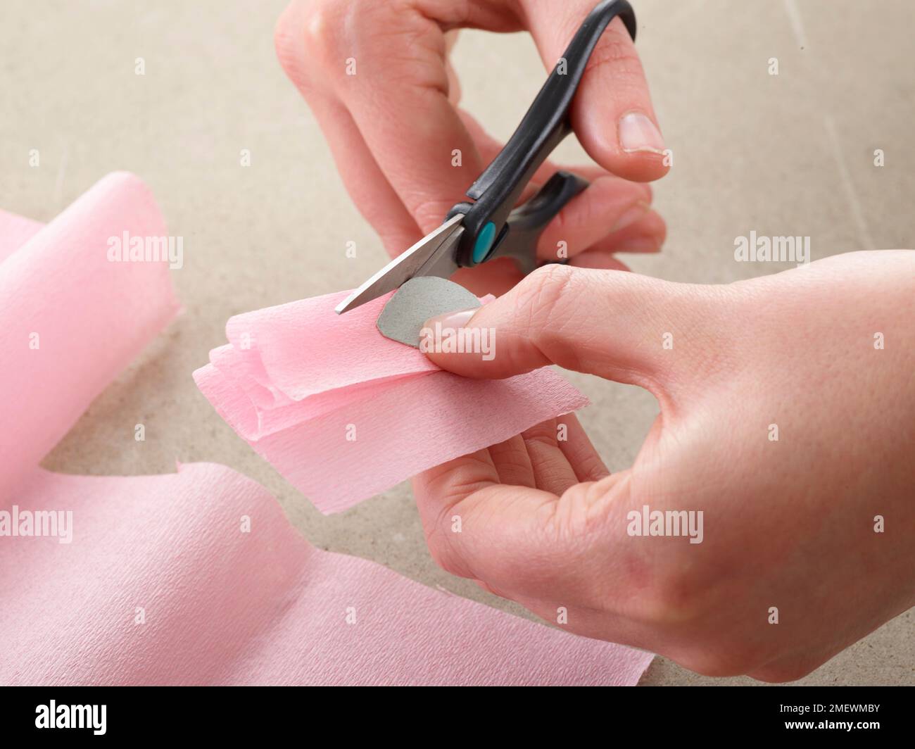 Papierhandwerk. DIY Blossom, schneidet Blütenblätter von rosa Krepppapier aus Stockfoto