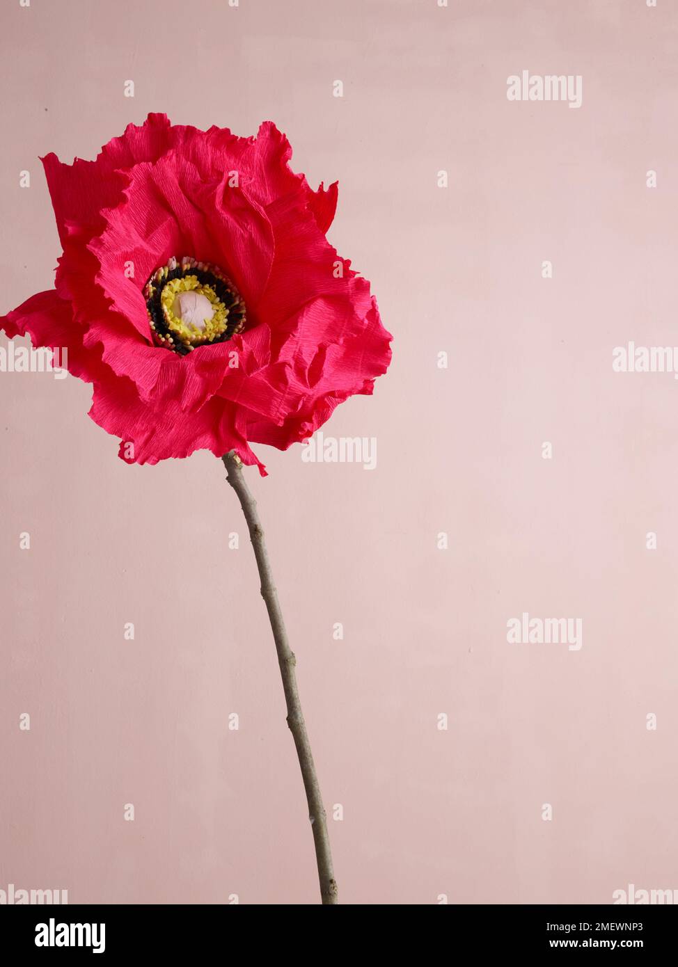 Papercraft Giant Poppy Schönheitsfoto Stockfoto