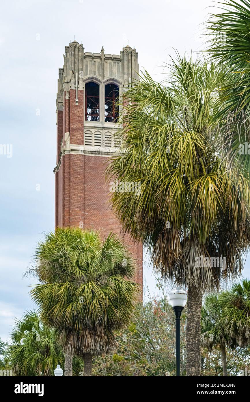 Century Tower Carillon auf dem Campus der University of Florida in Gainesville, Florida. (USA) Stockfoto
