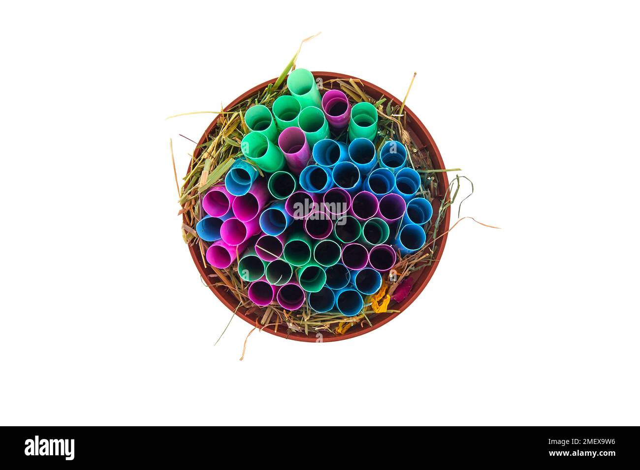 Heimwerker-Bienenhäuser - große Kunststoffhalme und Heu Stockfoto