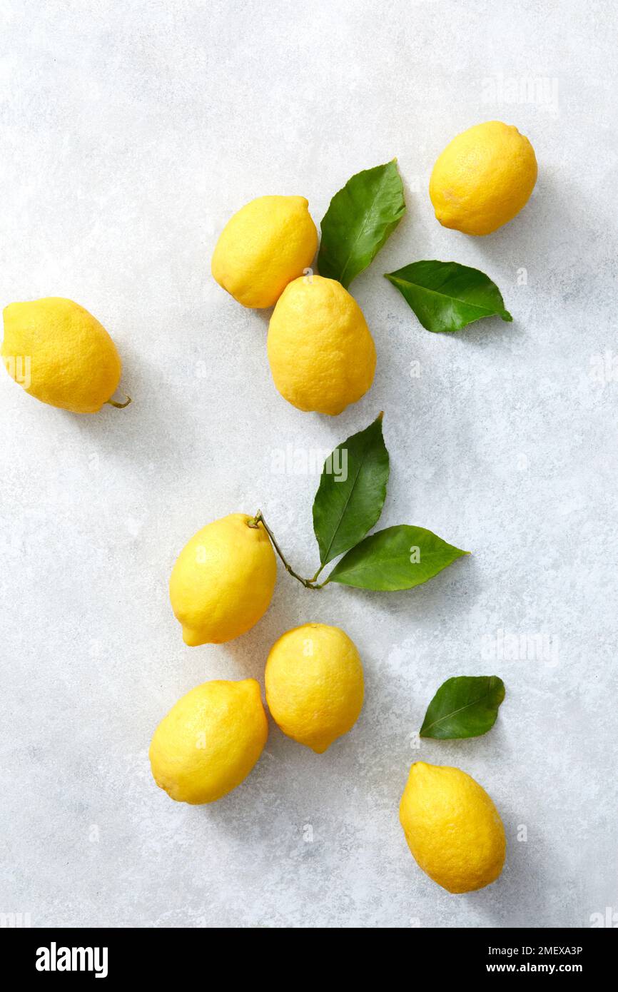 Zitronen Stockfoto