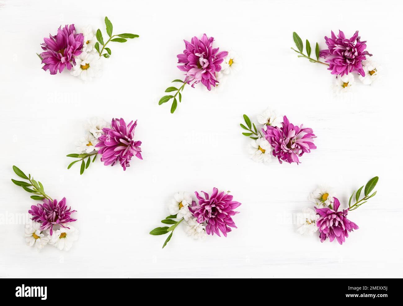 Wunderschöne Frühlingsblumen auf weißem Holzhintergrund. Festliches Blumenkonzept. Draufsicht, flach liegend. Stockfoto