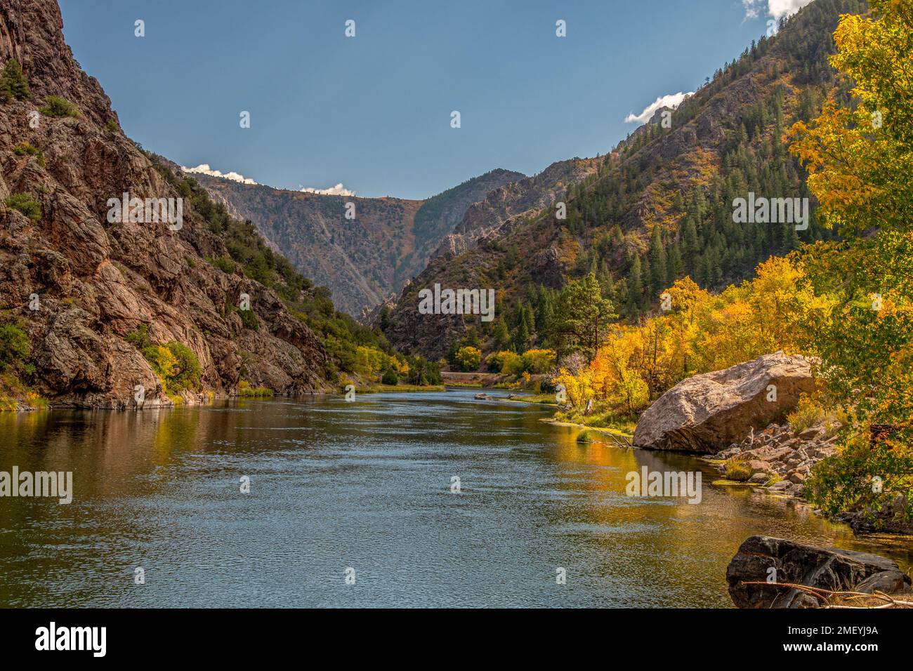 Colorados Gunnison River, der in den Black Canyon des Gunnison in den Farben des Herbstes mündet. Stockfoto