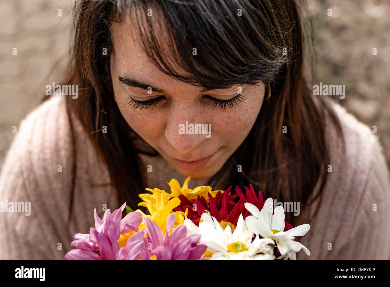 Aus der Perspektive einer jungen Frau, die in ihren Händen einen Strauß Gänseblümchen riecht. Nahaufnahme Stockfoto