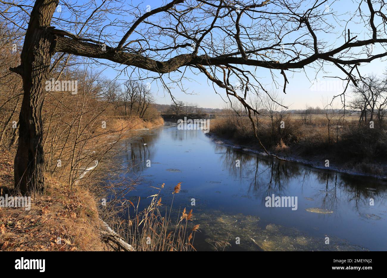 Sonnige Landschaft mit blattlosen Bäumen über einem kühlen Fluss. Der erste Frost im Wald. Erzählen Sie es in der Ukraine Stockfoto