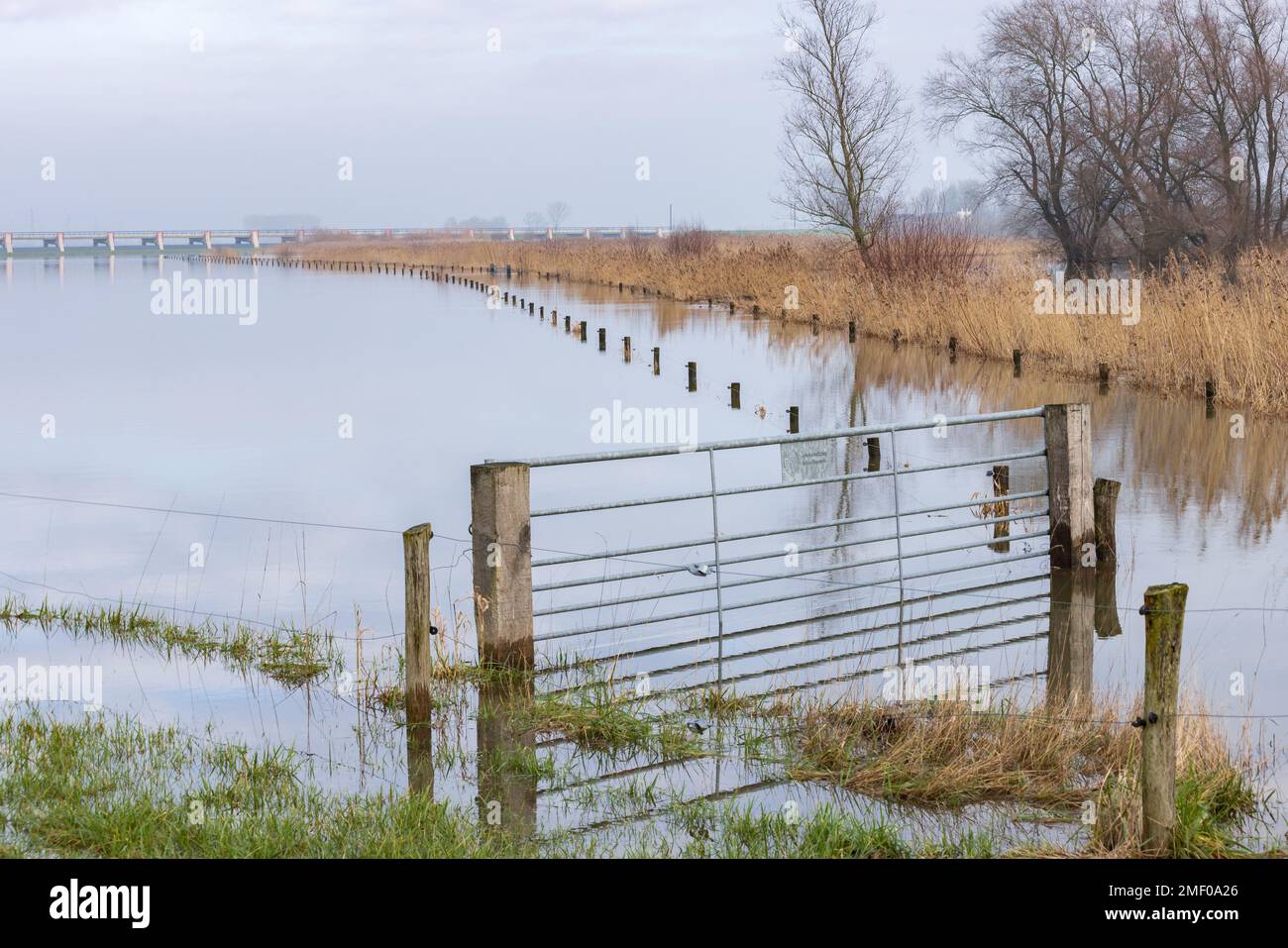 Blockierte Radstraße durch überflutete IJssel bei Welsum in Overijssel in den Niederlanden Stockfoto