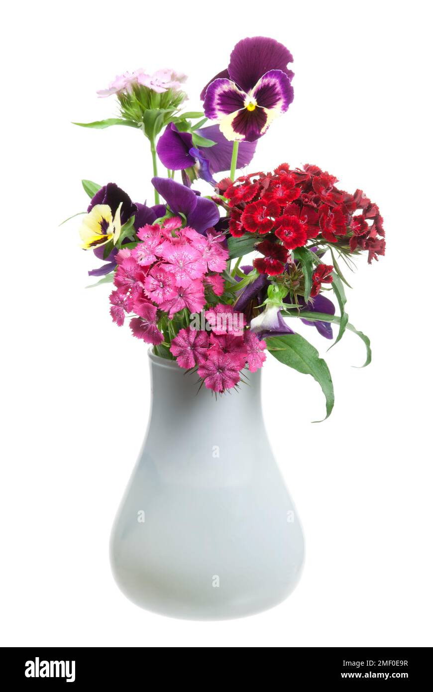 Ein Blumenstrauß in einer Vase, isoliert auf Weiß Stockfoto