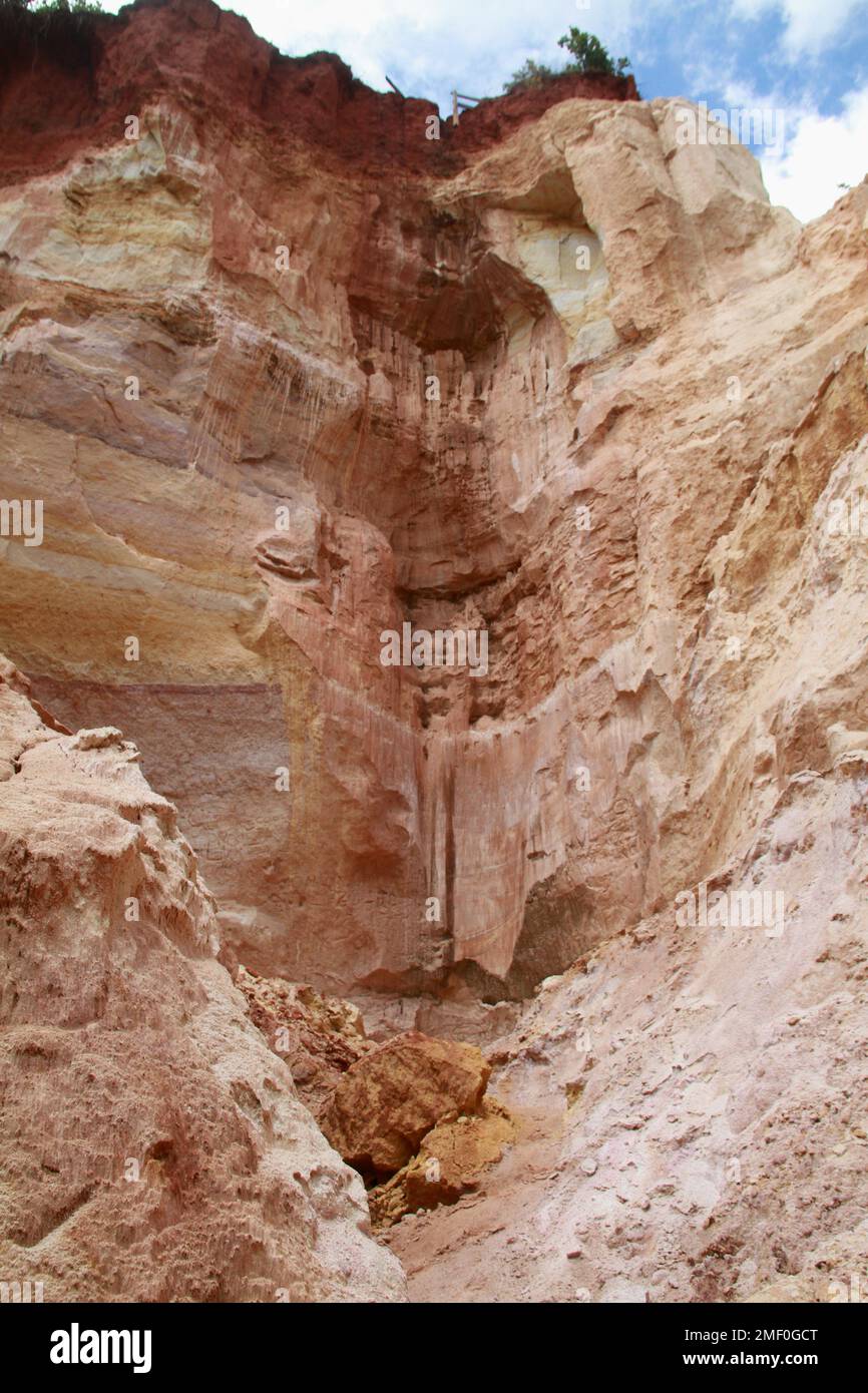 Providence Canyon in Georgia, USA. Blick auf eine erodierte Canyon-Wand ...