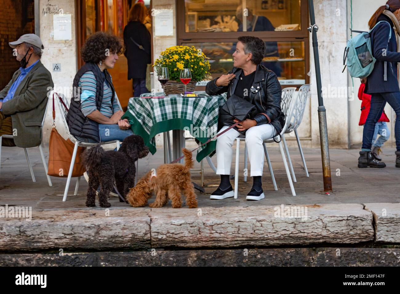 Zwei Frauen und zwei Hunde sitzen am Tisch mit Aperitivo, zur Happy Hour, Venedig, Italien. Stockfoto