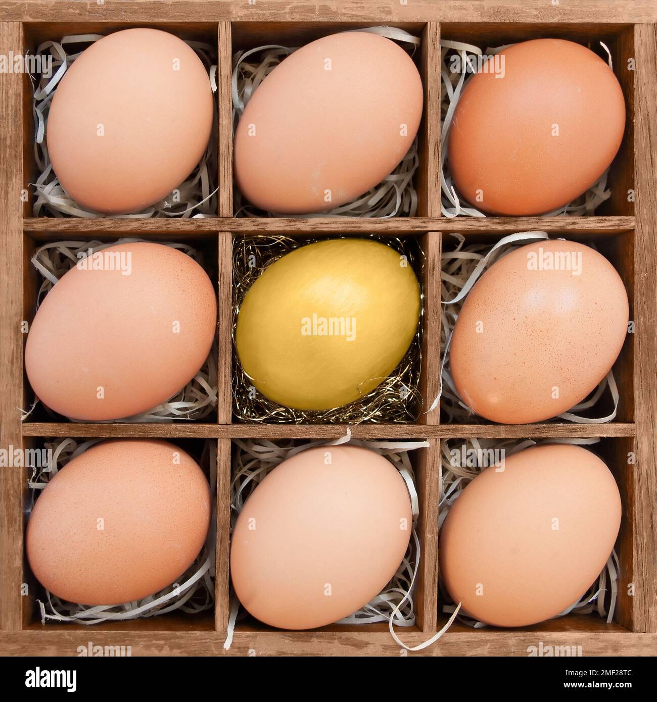 Goldenes Ei unter normalen Eiern in einer Holzschachtel - Symbol für herausragend oder Elite Stockfoto