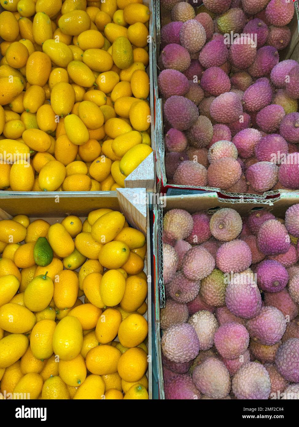 Fortunella Kumquat und Litchi chinensis, Lychee - ekchotische Früchte, Draufsicht. Stockfoto
