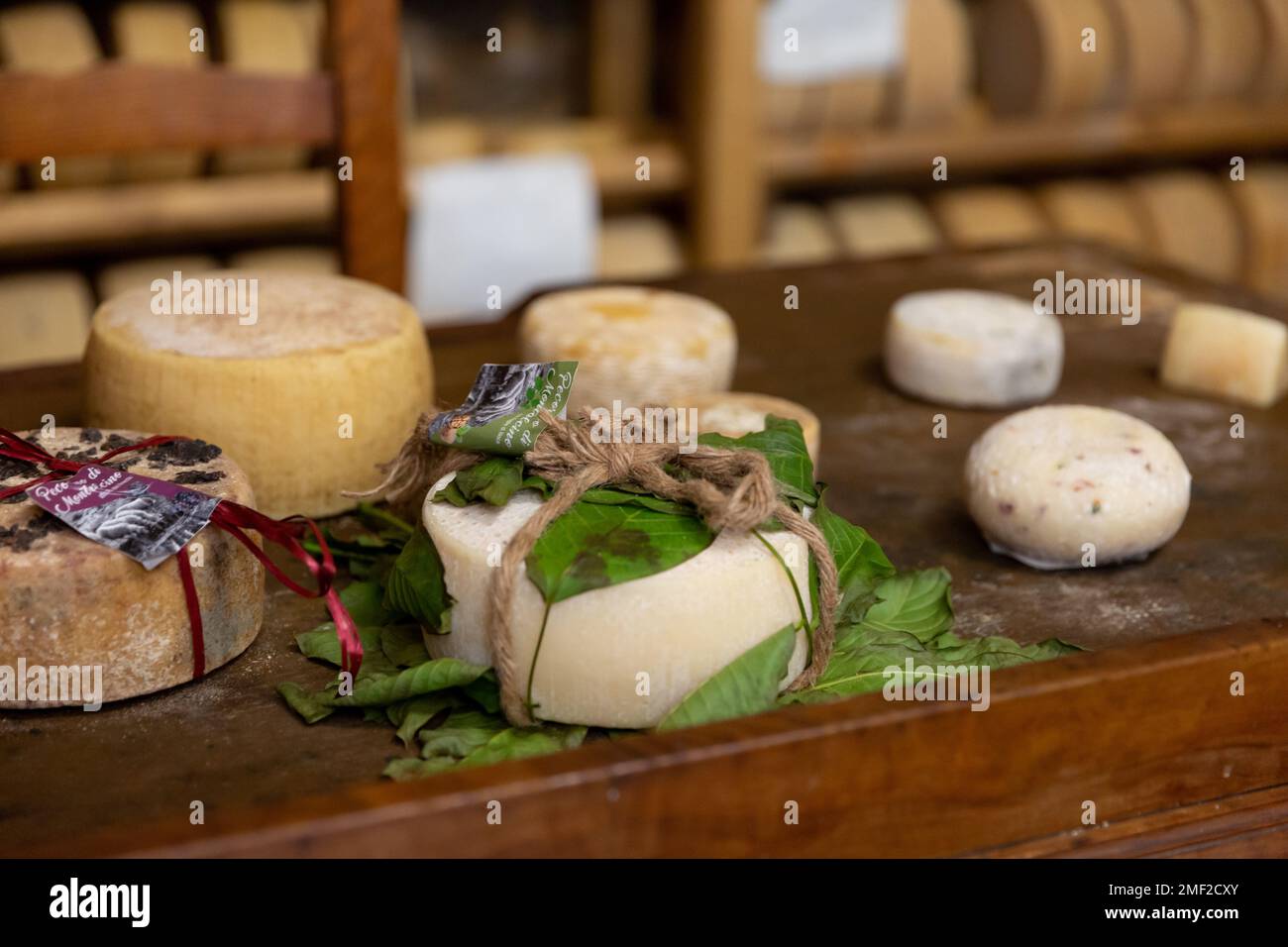 Eine Vielzahl von gereiften Rädern mit handgemachtem Käse auf der Käserei Fior di Montalcino in der Toskana, Italien. Stockfoto