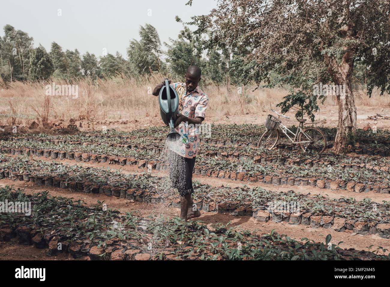 Ouagadougou, Burkina Faso. Dezember 2017. Burkina Faso ist ein sehr armes Land, in dem die Wirtschaft im Wesentlichen auf der Landwirtschaft basiert Stockfoto