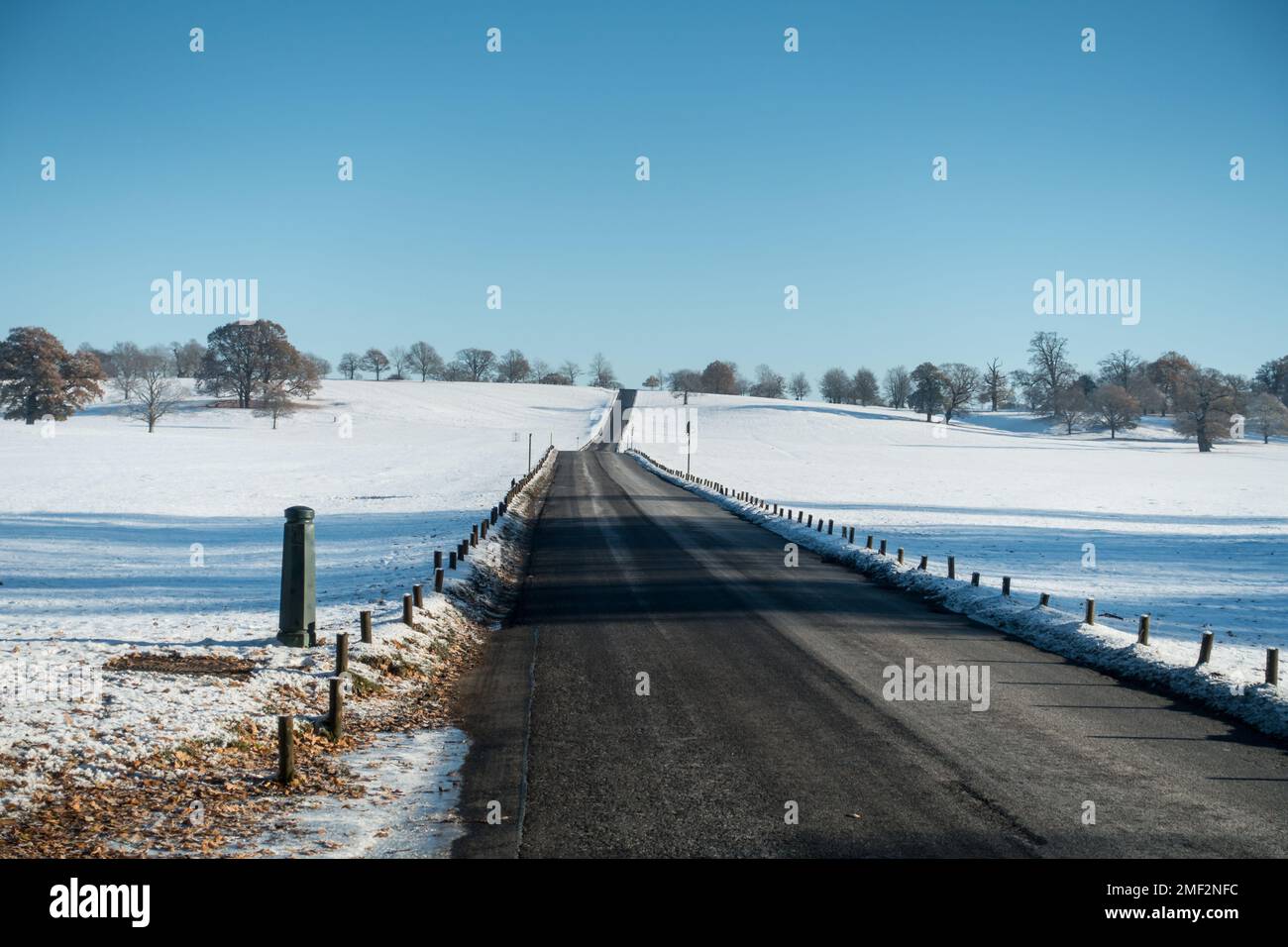 Winterszenen im Woburn Deer Park, Woburn, Großbritannien Stockfoto