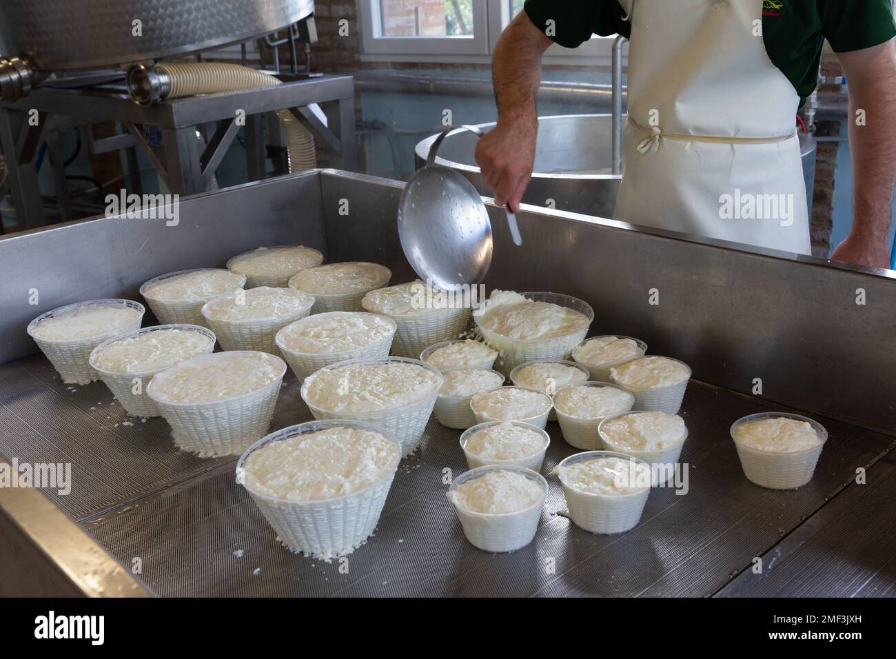 Herstellung von Ricotta-Käse auf einer Käserei in der Toskana, Italien. Stockfoto