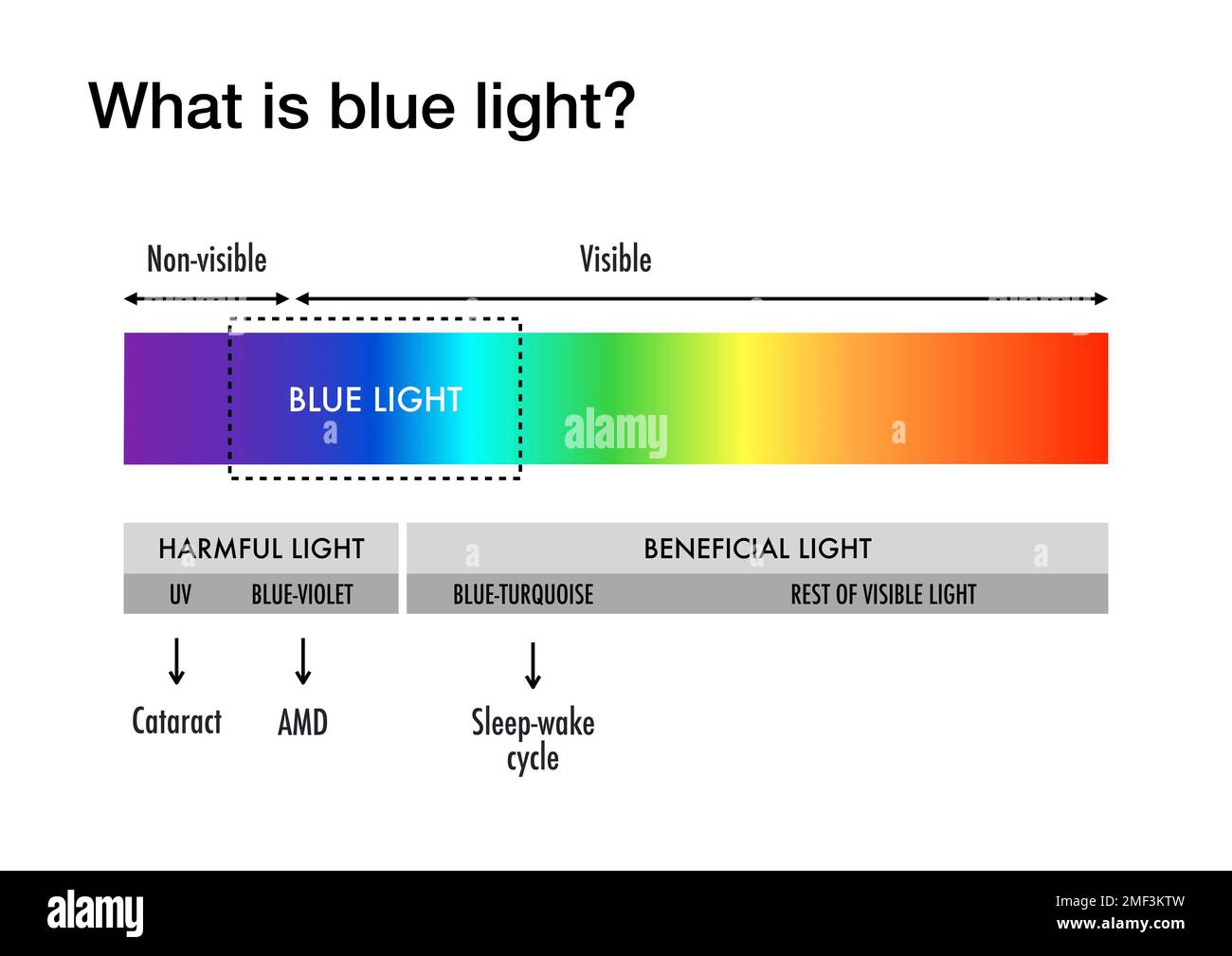 Was ist blaues Licht und welche Schäden kann es an den menschlichen Augen anrichten Stockfoto