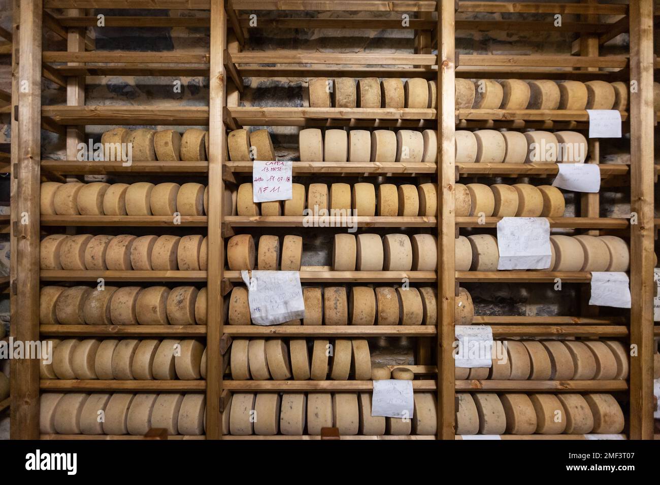 Reifung von Käserädern auf Holzständern auf der Käserei in der Toskana (Italien). Stockfoto