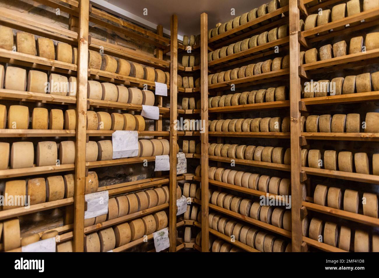 Reifung von Käserädern auf Holzständern auf der Käserei in der Toskana (Italien). Stockfoto