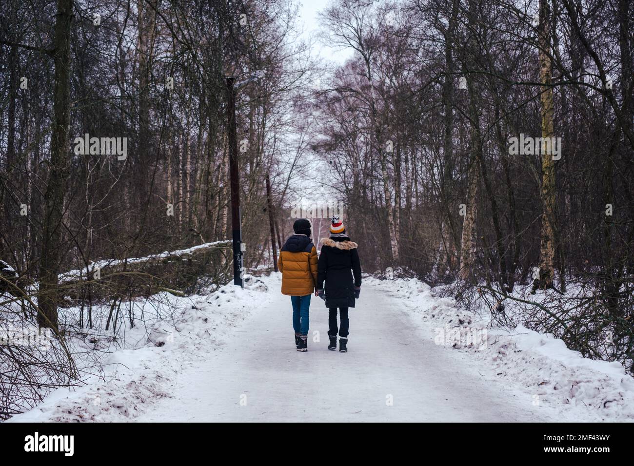 Zwei Leute, die in Schweden im Wald spazieren Stockfoto