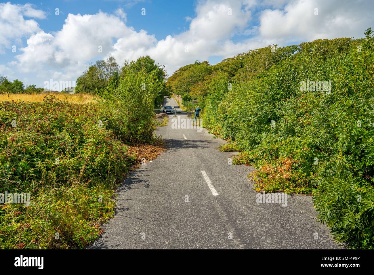 Alte überwucherte Straße, die zu einer Radstrecke zwischen Criccieth und Pwhelli umgebaut wurde Stockfoto