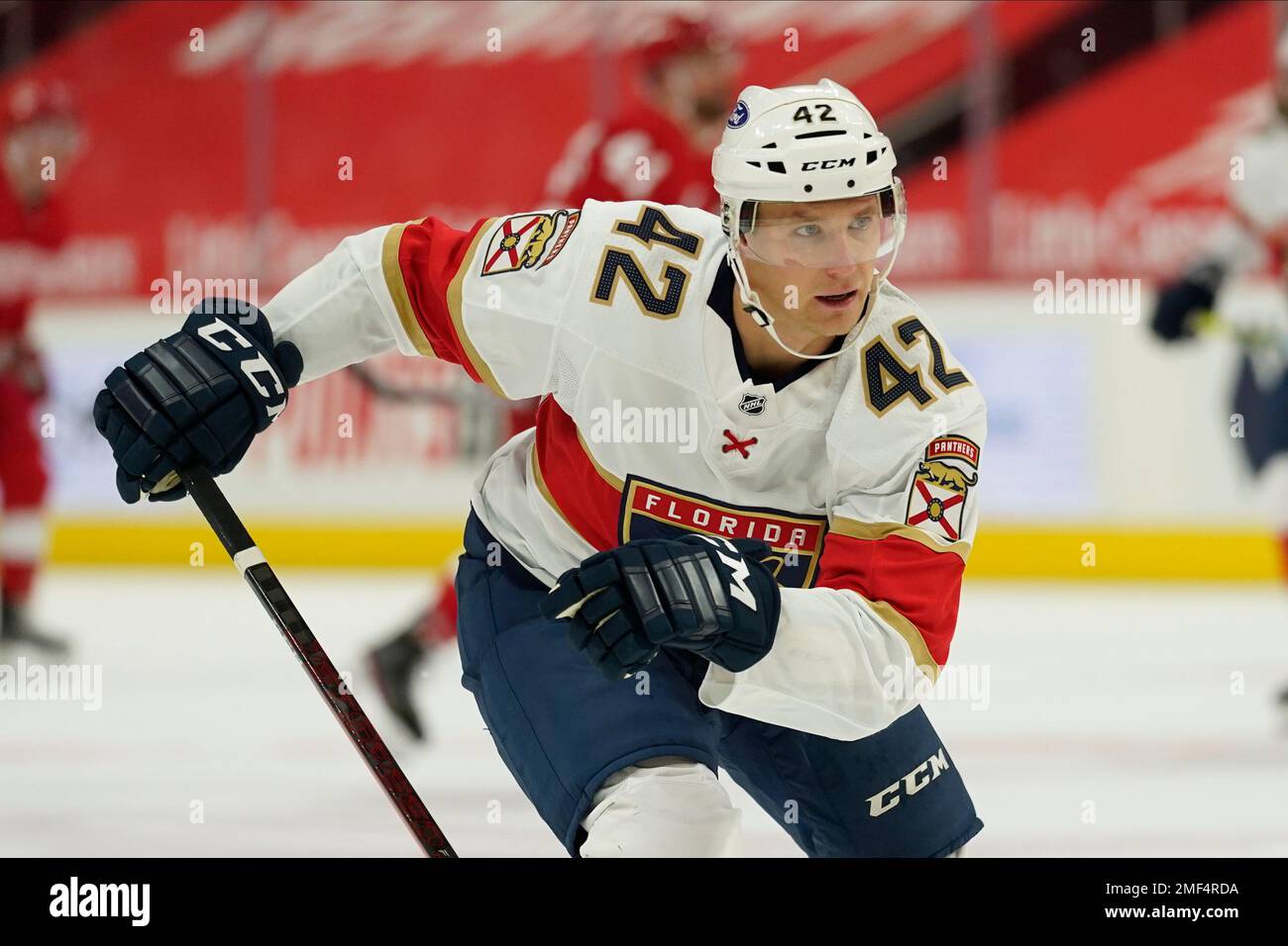 Florida Panthers defenseman Gustav Forsling (42) plays against the Detroit Red Wings in the second period of an NHL hockey game Friday, Feb. 19, 2021, in Detroit. (AP Photo/Paul Sancya) Stockfoto