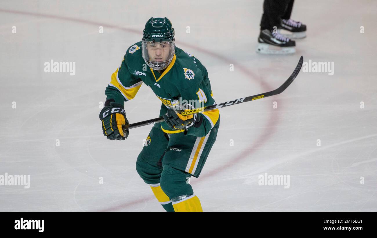 Northern Michigan defenseman Michael Van Unen (4) skates against