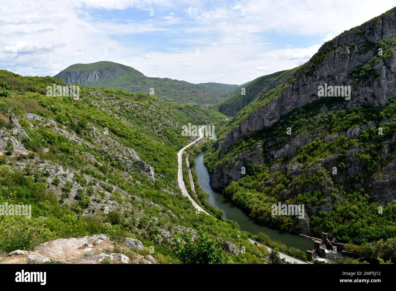 Nahaufnahme der süßen, dunkelfarbigen, jungen Katze, die draußen am Fenster steht. Stockfoto